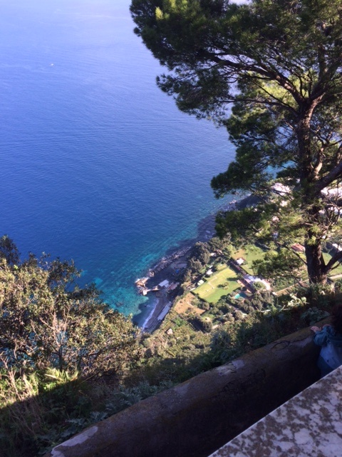 High up on the Isle of Capri we could see the shades in the water.