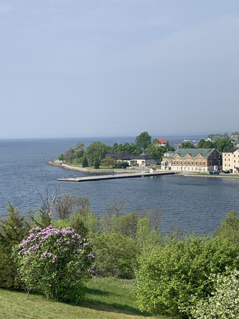 Lilacs, river, overlooking St. Lawrence River