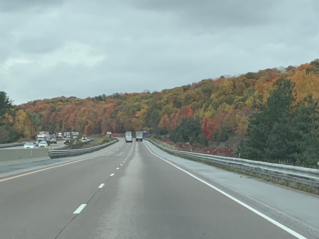 highway lined with fall coloured trees