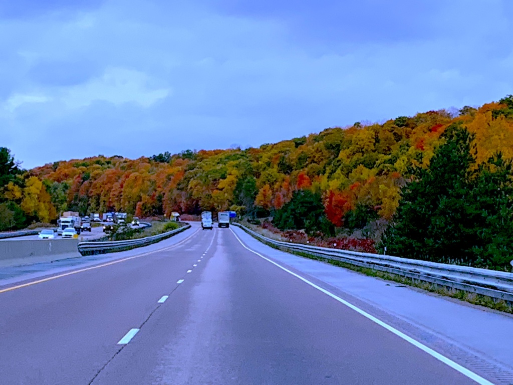 highway with fall trees in full colour