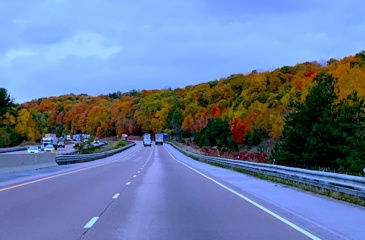 highway with fall trees in full colour